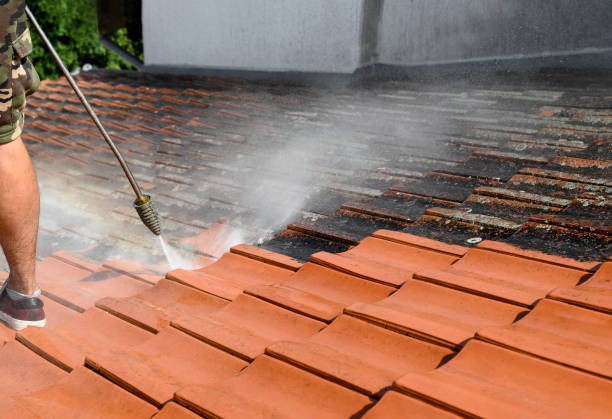 Best House Pressure Washing  in Baldwin, FL