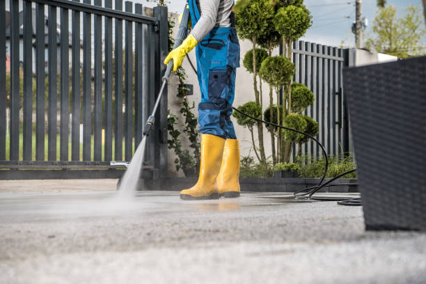 Best Roof Power Washing Services  in Baldwin, FL