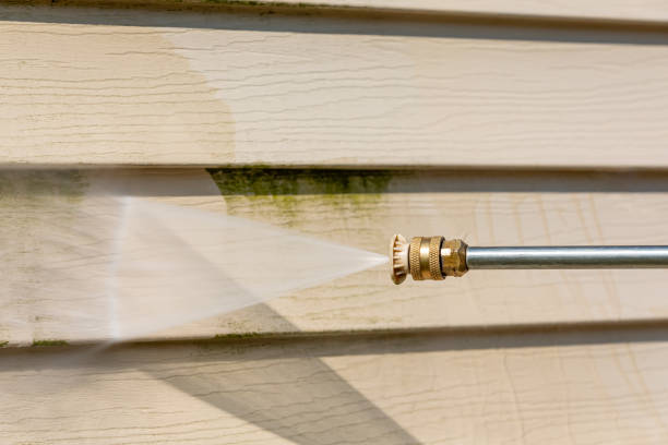 Best Roof Pressure Washing  in Baldwin, FL